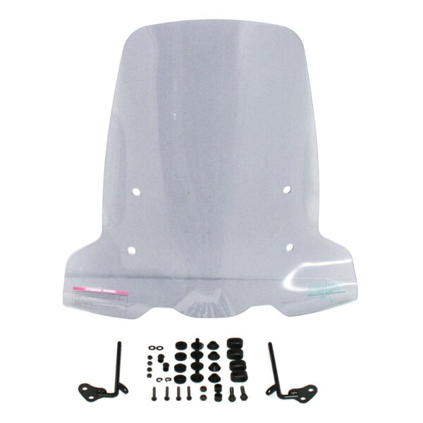 Ecooter Pare-brise.jpg